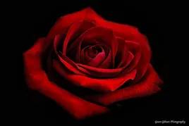 Red Rose FM