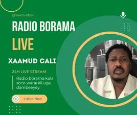 Radio Borama