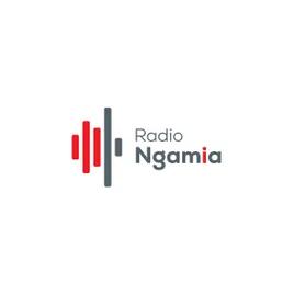 Radio Ngamia