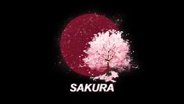 Sakura