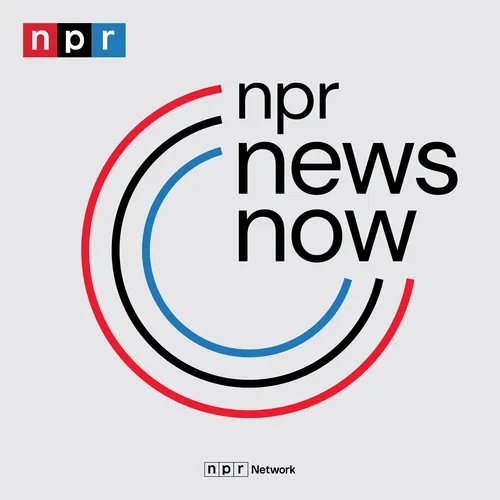 NPR News: 03-05-2024 6PM EST