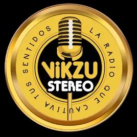 VIKZU STEREO