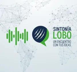 Sintonía Lobo