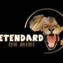 RADIO ETENDARD DU MIDI